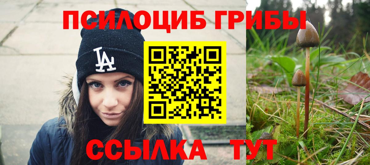 Псилоцибиновые грибы мицелий Красный Сулин
