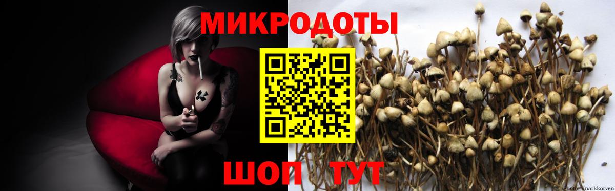 Галлюциногенные грибы MAGIC MUSHROOMS  Вход с VPN  Галлюциногенные грибы GOLDEN TEACHER  магазин продажи наркотиков  Красный Сулин 